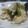Cooksnap dari Muhajjah Saratini untuk resep Brocolli with mozzarella toping