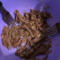El cooksnap de Andrea Lima cuando hizo Carne braseada a la cacerola.