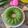 Cooksnap dari RatihAng untuk resep Puding Lumut Daun Kelor (nangka)