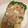 El cooksnap de Norma MN cuando hizo Ensalada de pollo (soya).