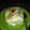 El cooksnap de Idalia Quinteros cuando hizo Tarta 3 leches.