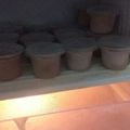 Cooksnap dari Lia Wilyanahputri Fatmawati Syukri untuk resep Ice cream rumahan lembut yummii