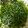 El cooksnap de Maya Rica cuando hizo Chimichurri.