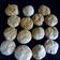 El cooksnap de Roxana Bonilla cuando hizo Deliciosos scones de queso 🧀.