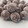 El cooksnap de Marieta cuando hizo Trufas.