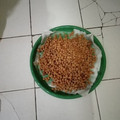Cooksnap dari Yati Sumiati untuk resep Kacang Telur inspirasi kue Natal tahun baru 2021