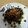 El cooksnap de Laura Ureña Pont cuando hizo Ensalada nomura con aliño.