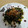 El cooksnap de Laura Ureña Pont cuando hizo Ensalada nomura con aliño.