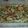 llbryant's cooksnap of when they made Easy Pasta Salad.