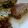 El cooksnap de Coti Urbieta cuando hizo Hamburguesa de lentejas y zanahoria [Saludable].