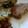 El cooksnap de Coti Urbieta cuando hizo Hamburguesa de lentejas y zanahoria [Saludable].