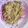 Nithyakalyani Sahayaraj's cooksnap of when they made மேகி நூடுல்ஸ் (Maggi Noodles Recipe in TAmil).