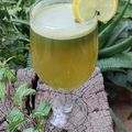Beena Radia's cooksnap of when they made વરીયાળી ફુદીનાનું કુલર (Variyali Pudina Cooler Recipe In Gujarati).