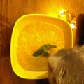 hebemactavish's cooksnap of when they made pumpkin soup.
