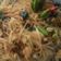 Cooksnap dari Moms Valerie untuk resep Bihun goreng