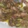 Cooksnap dari misnarni untuk resep Tumis Cumi Asin Cabe Ijo Pete