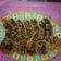 Cooksnap dari Aminia Maskud untuk resep 169. Banana Milk Crispy