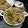 Swati Bharadwaj's cooksnap of when they made চিকেন বির‍য়ানি(Chicken biriyani recipe in Bengali).