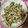 Jane 的 椒鹽杏鮑菇 cooksnap