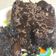 Cooksnap από Loukia Flwroy στη συνταγή Εύκολα brownie με κακάο