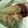 tige321's cooksnap of when they made Zucchini Tempura.