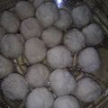 Cooksnap dari Wida Alanda Suherlan untuk resep Tahu bulat ala dapurku