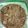 Ameenah Saidu's cooksnap of when they made Jullof din taliya da kifi da ganyen albasa.