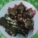 Cooksnap dari Riekahendra untuk resep Bolu kukus Oreo