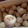 Cooksnap dari Puji untuk resep Cilok (isi ayam)