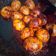 Cooksnap dari Fatma untuk resep Telur Bumbu Merah (Hintalu Masak Habang) khas Banjar