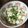 El cooksnap de Julieta Luján cuando hizo Ensalada de pepino, manzana y yogurt griego.
