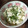 El cooksnap de Julieta Luján cuando hizo Ensalada de pepino, manzana y yogurt griego.