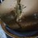 Cooksnap dari gita adeeva untuk resep Sweet bread with cream cheese (bread maker)