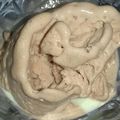 Cooksnap dari Melisa Rani untuk resep Ice cream home made