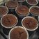 Cooksnap dari DapurMamaDipta🌼 untuk resep Muffin coklat kukus (takaran sendok)