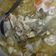 Cooksnap dari desi zara untuk resep #KitaBerbagi Soup Iga dan daging Kambing kuah susu