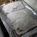 El cooksnap de Gus Zala cuando hizo Milanesa de soja a la napolitana 😉👌.