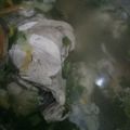 Cooksnap dari Jero Diani Puri untuk resep Sop Ayam Pecok Simple No MSG