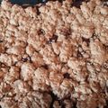 kclev's cooksnap of when they made Delicious Chocolate Oat Bars.