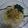 Cooksnap dari Fayola untuk resep Mie Ayam Sehat Tanpa MSG