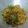 Cooksnap dari Dian Nuraeni Kusnadi untuk resep Mi Goreng Jawa (Burung Dara)
