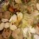 Cooksnap dari P Z untuk resep Sayur Sop TePuBa (telur puyuh bakso)