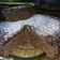 Cooksnap dari Fitry Nur IndahSari untuk resep Bolu kopi kukus no telur no ribet