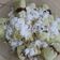 Cooksnap dari e.yuningsih untuk resep Kue Putu Tanpa Bambu