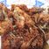 Cooksnap dari ghina untuk resep Ayam Goreng Lengkuas