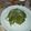 El cooksnap de Emi Monte cuando hizo Camarones con salsa de espinacas y fideos.