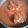 El cooksnap de RickyStorm cuando hizo Carrilleras de ternera al cacao.