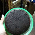 Cooksnap dari Melisa untuk resep Brownis oreo kukus 2 bahan