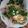 Cooksnap dari Nyoman Putri untuk resep MIE SETAN Pedes buatan sendiri