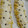 Cooksnap dari Dwi Mulat untuk resep Banana Strudel (No mixer)